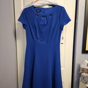 NWT Alyx Sz 6 Deep Blue Swing Dress